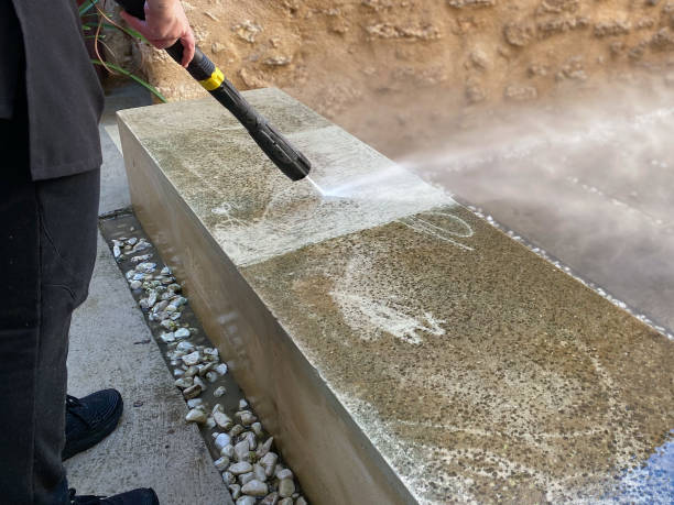Best Local Pressure Washing Services  in Neshanic Station, NJ