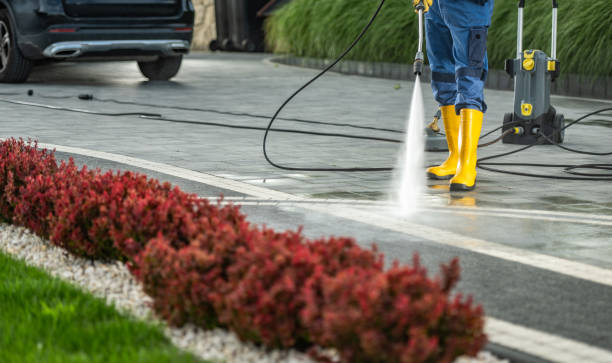 Best Best Pressure Washing Companies  in Neshanic Station, NJ